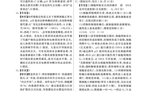 评分细则及答案详解-生物(2)_2025年11月_251124河南省新未来大联考2026届高三上学期11月联合测评_1209215425_河南省新未来大联考2026届高三上学期11月联合测评生物试题（含答案）