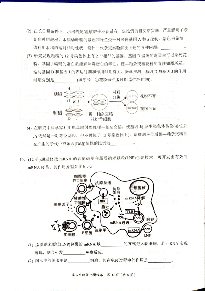 湖南省岳阳市2025届高三上学期教学质量监测（一）生物_2025年1月_250122湖南省岳阳市2025届高三上学期教学质量监测（一）（全科）