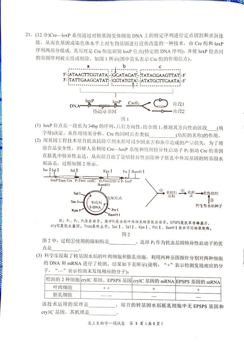 湖南省岳阳市2025届高三上学期教学质量监测（一）生物_2025年1月_250122湖南省岳阳市2025届高三上学期教学质量监测（一）（全科）