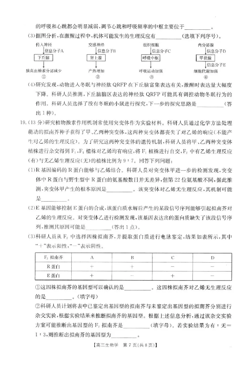 生物高三2月金太阳联考_2025年2月_250207福建省金太阳2024-2025学年高三下学期2月开学联考（25-312C）（全科）_生物