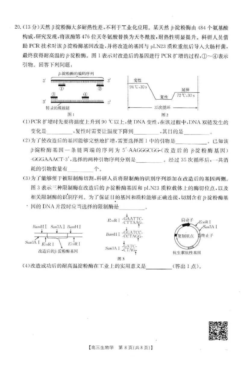 生物高三2月金太阳联考_2025年2月_250207福建省金太阳2024-2025学年高三下学期2月开学联考（25-312C）（全科）_生物