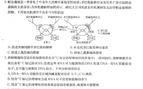 生物高三2月金太阳联考_2025年2月_250207福建省金太阳2024-2025学年高三下学期2月开学联考（25-312C）（全科）_生物
