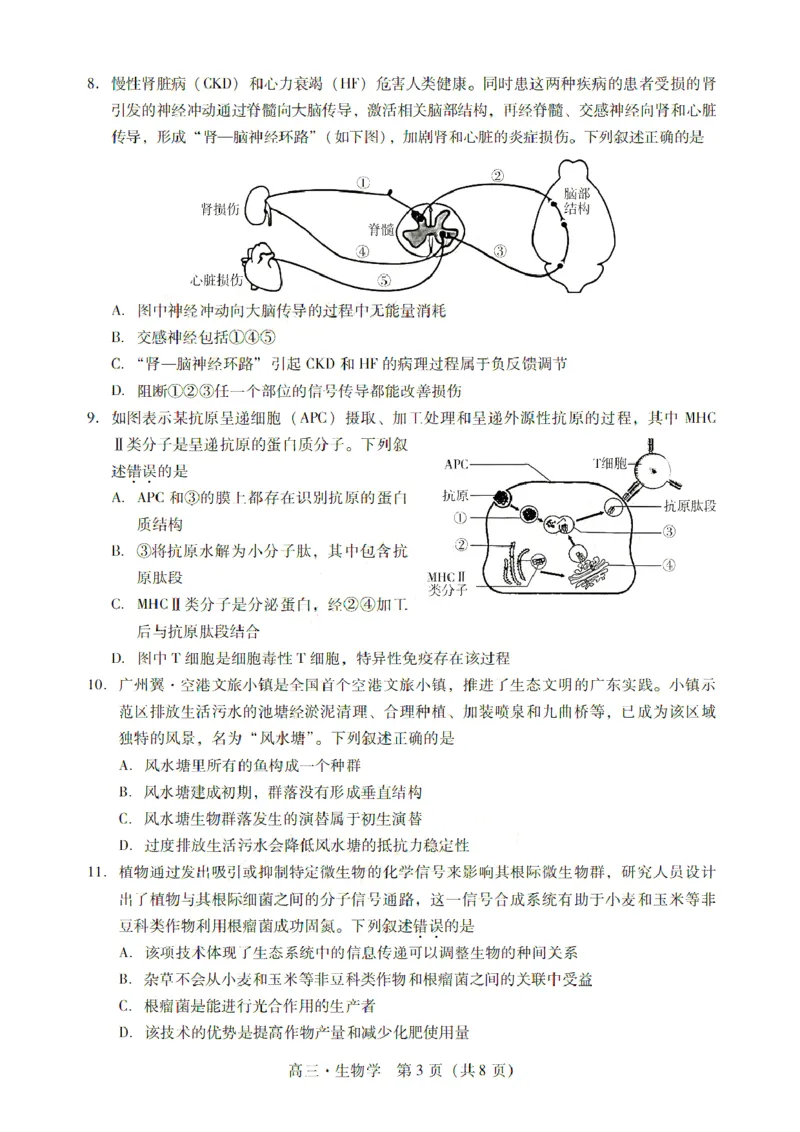 广东省肇庆市肇庆暨汕尾2025届高中毕业班第二次模拟考试期末考-生物试卷+答案_2025年1月_250118广东省肇庆市2025届高中毕业班第二次模拟考试暨汕尾期末考（全科）