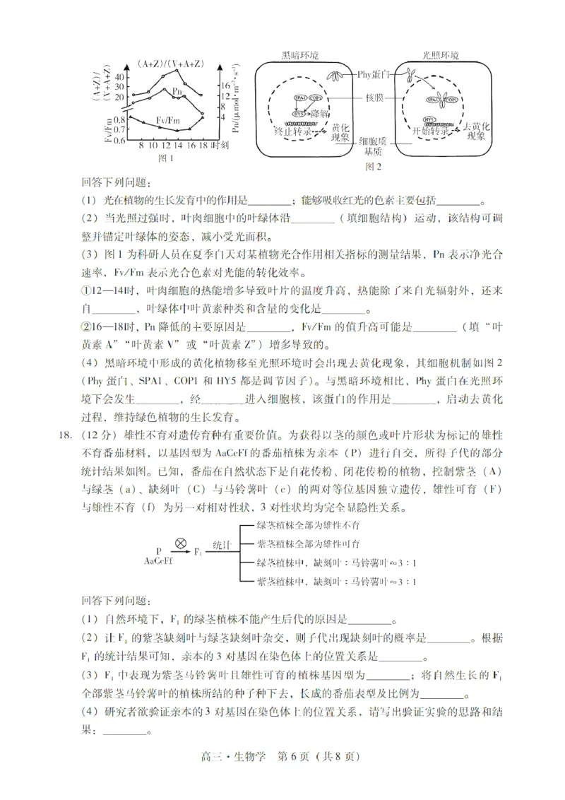 广东省肇庆市肇庆暨汕尾2025届高中毕业班第二次模拟考试期末考-生物试卷+答案_2025年1月_250118广东省肇庆市2025届高中毕业班第二次模拟考试暨汕尾期末考（全科）