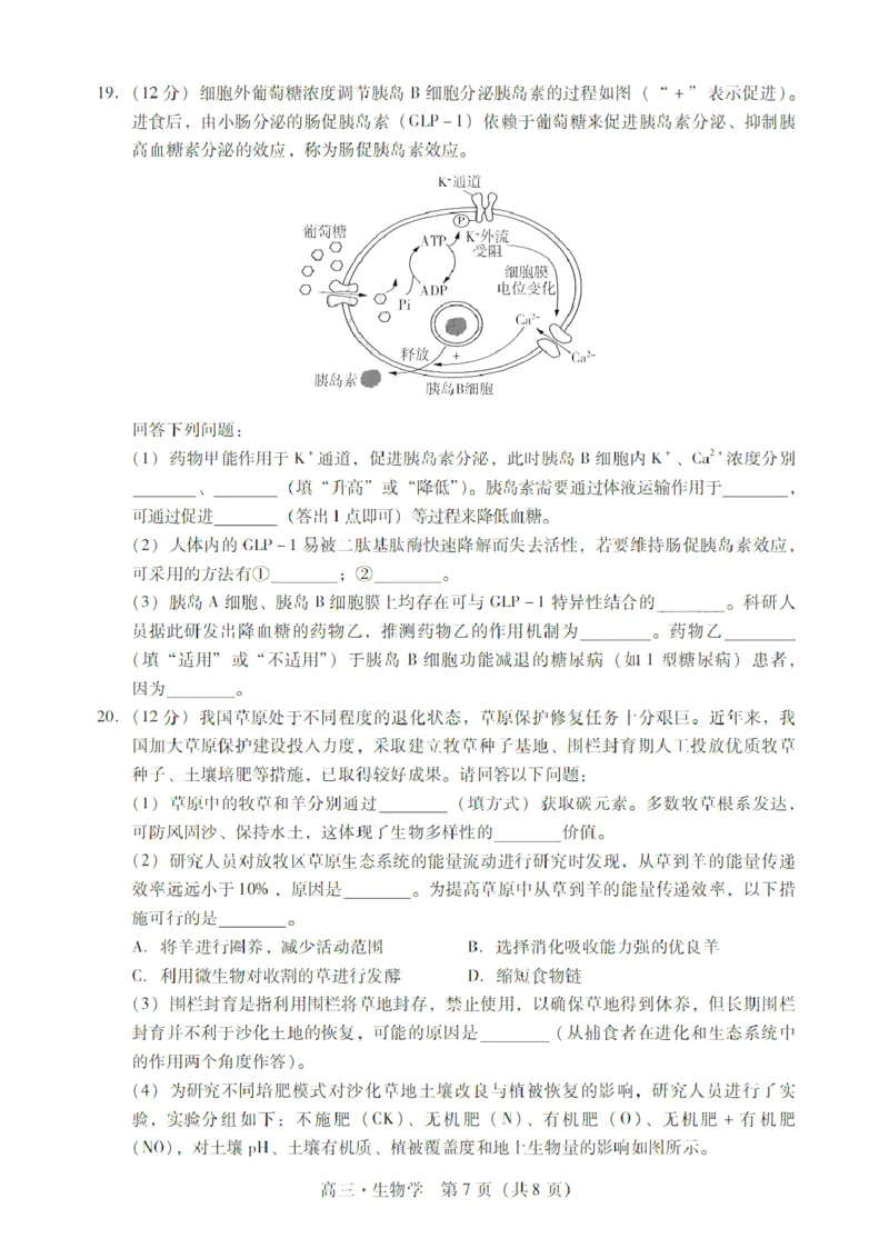 广东省肇庆市肇庆暨汕尾2025届高中毕业班第二次模拟考试期末考-生物试卷+答案_2025年1月_250118广东省肇庆市2025届高中毕业班第二次模拟考试暨汕尾期末考（全科）