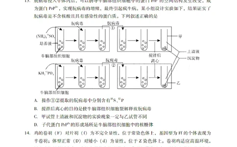 广东省肇庆市肇庆暨汕尾2025届高中毕业班第二次模拟考试期末考-生物试卷+答案_2025年1月_250118广东省肇庆市2025届高中毕业班第二次模拟考试暨汕尾期末考（全科）