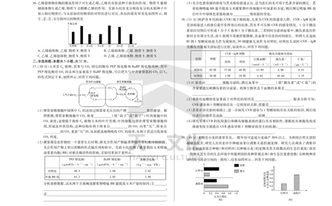 陕西、山西省天一小高考2024-2025学年（下）高三第三次考试生物_2025年4月_250411陕西、山西省天一小高考2024-2025学年（下）高三第三次考试（全科）