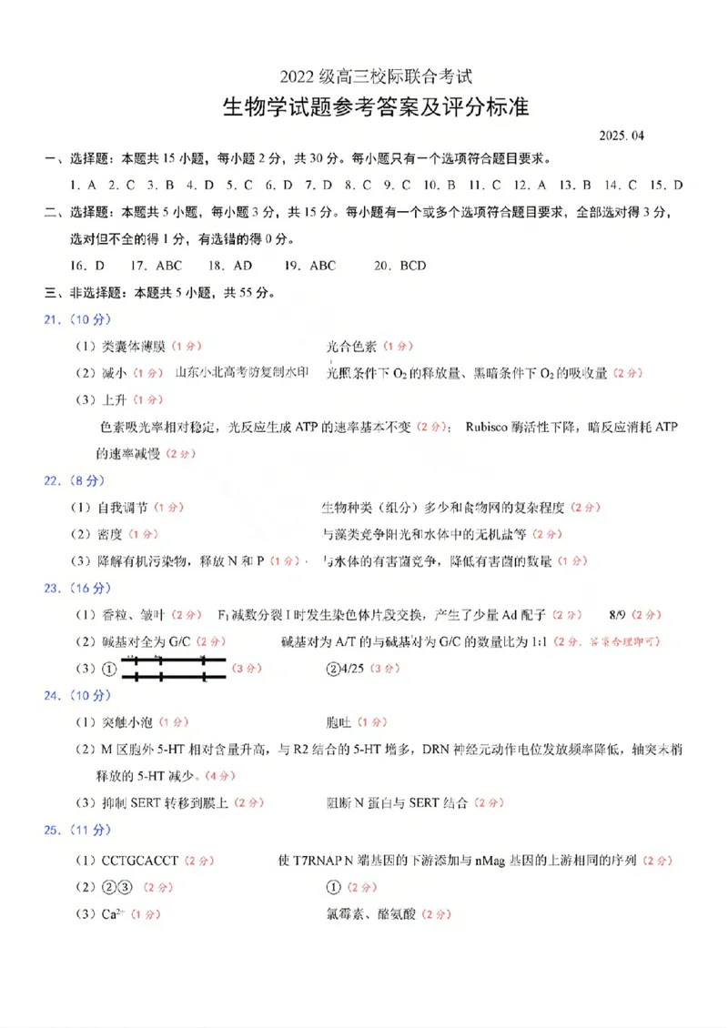 生物答案_2025年4月_2504262025山东省日照市4月高三校际联合考试（日照二模)（全科）