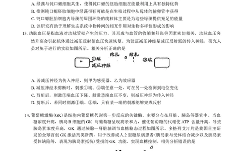广东省佛山市顺德区2024-2025学年高三教学质量检测(二)生物学试题（有答案）_2025年2月_250223广东省顺德区2024学年普通高中高三教学质量检测（二）