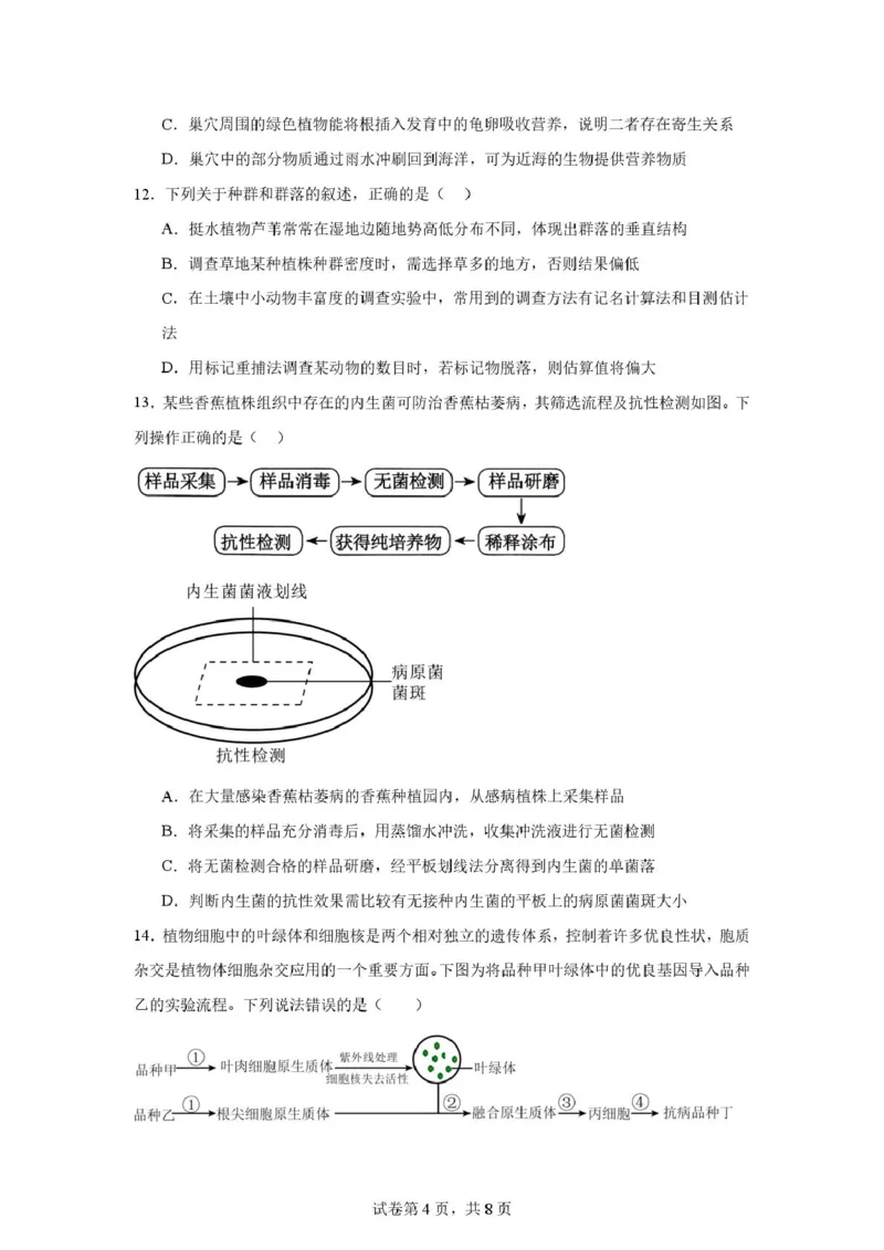 河南师大附中高三开学考试生物试卷_2025年9月_250916河南师范大学附属中学2025-2026学年高三上学期9月开学考试（全科）