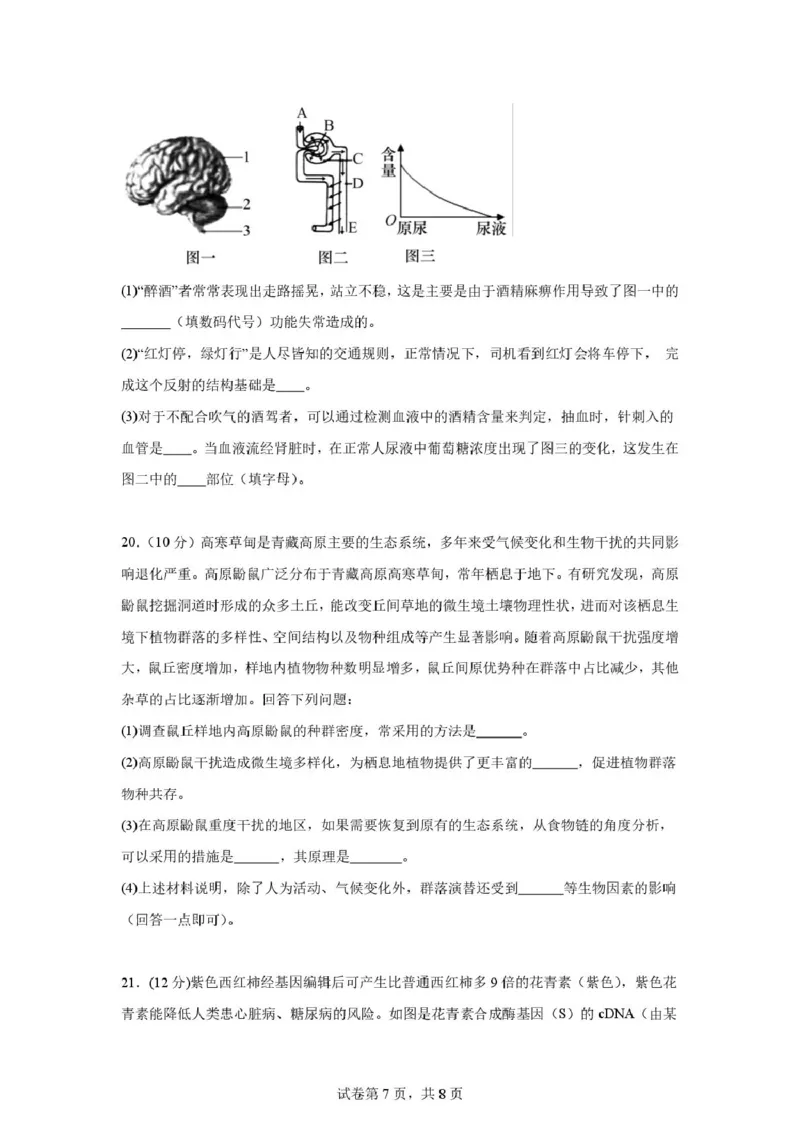 河南师大附中高三开学考试生物试卷_2025年9月_250916河南师范大学附属中学2025-2026学年高三上学期9月开学考试（全科）