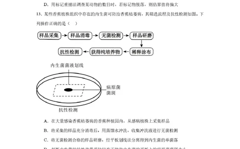 河南师大附中高三开学考试生物试卷_2025年9月_250916河南师范大学附属中学2025-2026学年高三上学期9月开学考试（全科）