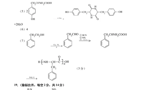 海南省文昌中学2024-2025学年高三下学期第五次月考（4月）化学答案_2025年4月_250424海南省文昌中学2024-2025学年高三下学期第五次月考（4月）（全科）
