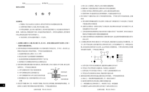 山西省思而行2025年3月高考适应性测试生物_2025年3月_250314山西省思而行2025年3月高考适应性测试（山西一模）（全科）_山西省思而行2025年3月高考适应性测试生物