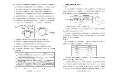 山西省思而行2025年3月高考适应性测试生物_2025年3月_250314山西省思而行2025年3月高考适应性测试（山西一模）（全科）_山西省思而行2025年3月高考适应性测试生物