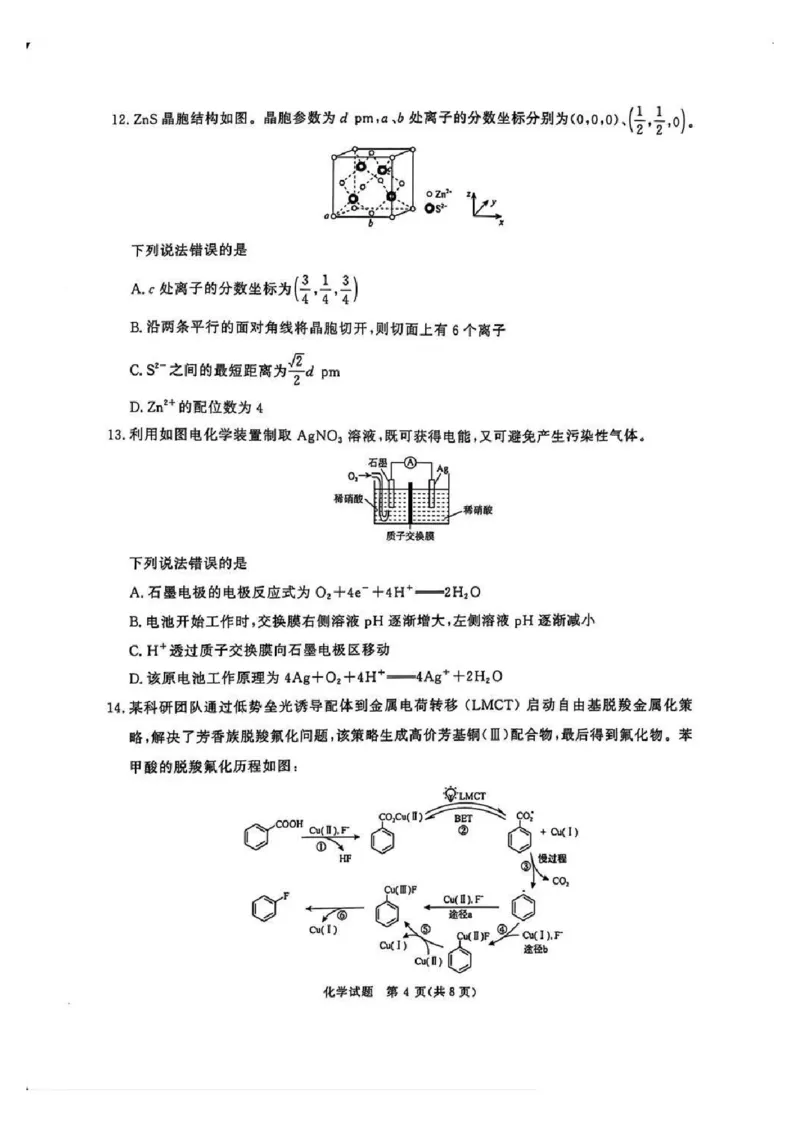 河南五市2025届高三期末化学试题及答案_2025年1月_250121河南普通高中（青桐鸣大联考）2024-2025学年（上）高三年级期末考试