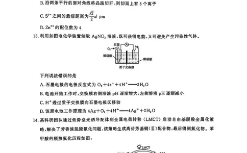 河南五市2025届高三期末化学试题及答案_2025年1月_250121河南普通高中（青桐鸣大联考）2024-2025学年（上）高三年级期末考试