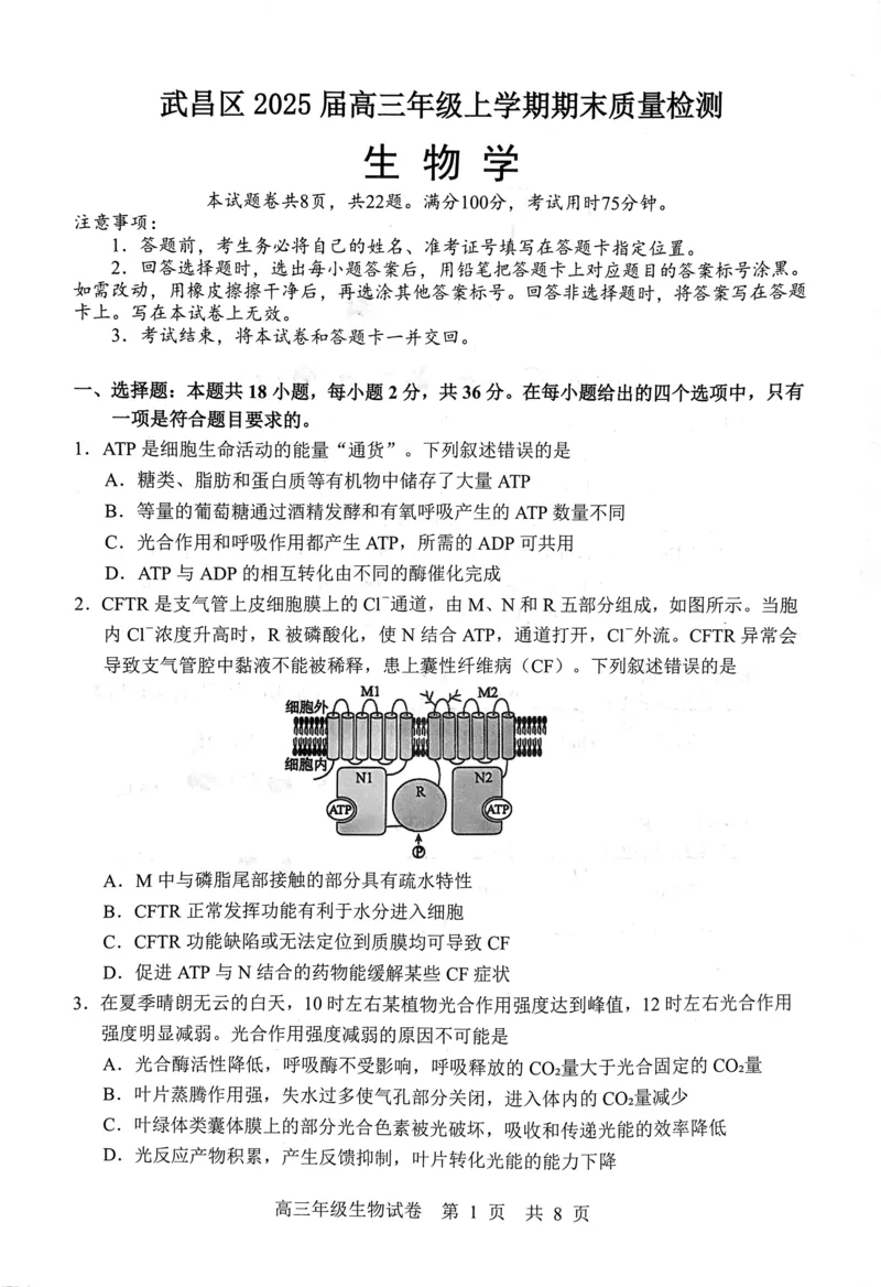 武昌区2025届高三年级上学期期末质量检测生物_2025年1月_250118湖北省武汉市武昌区2025届高三年级上学期期末质量检测（全科）_武昌区2025届高三年级上学期期末质量检测生物
