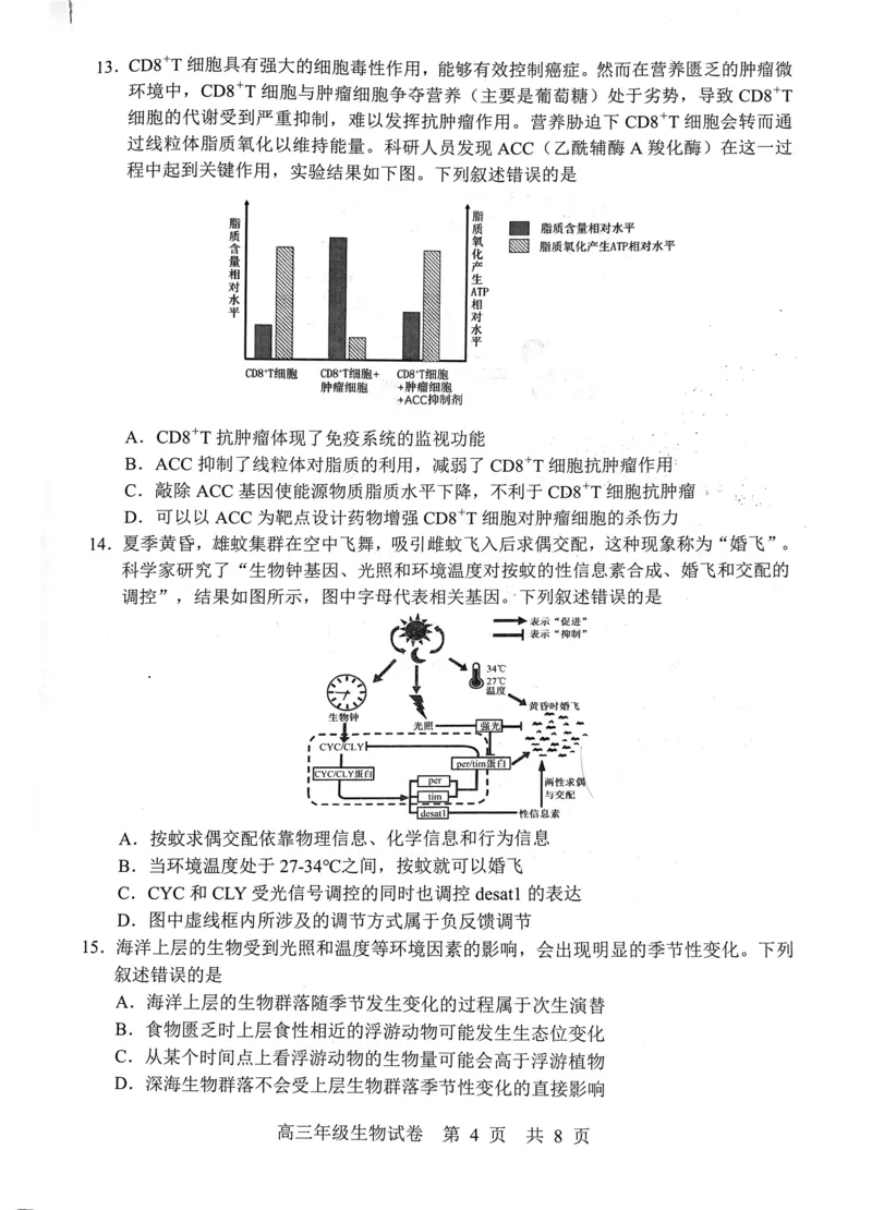 武昌区2025届高三年级上学期期末质量检测生物_2025年1月_250118湖北省武汉市武昌区2025届高三年级上学期期末质量检测（全科）_武昌区2025届高三年级上学期期末质量检测生物