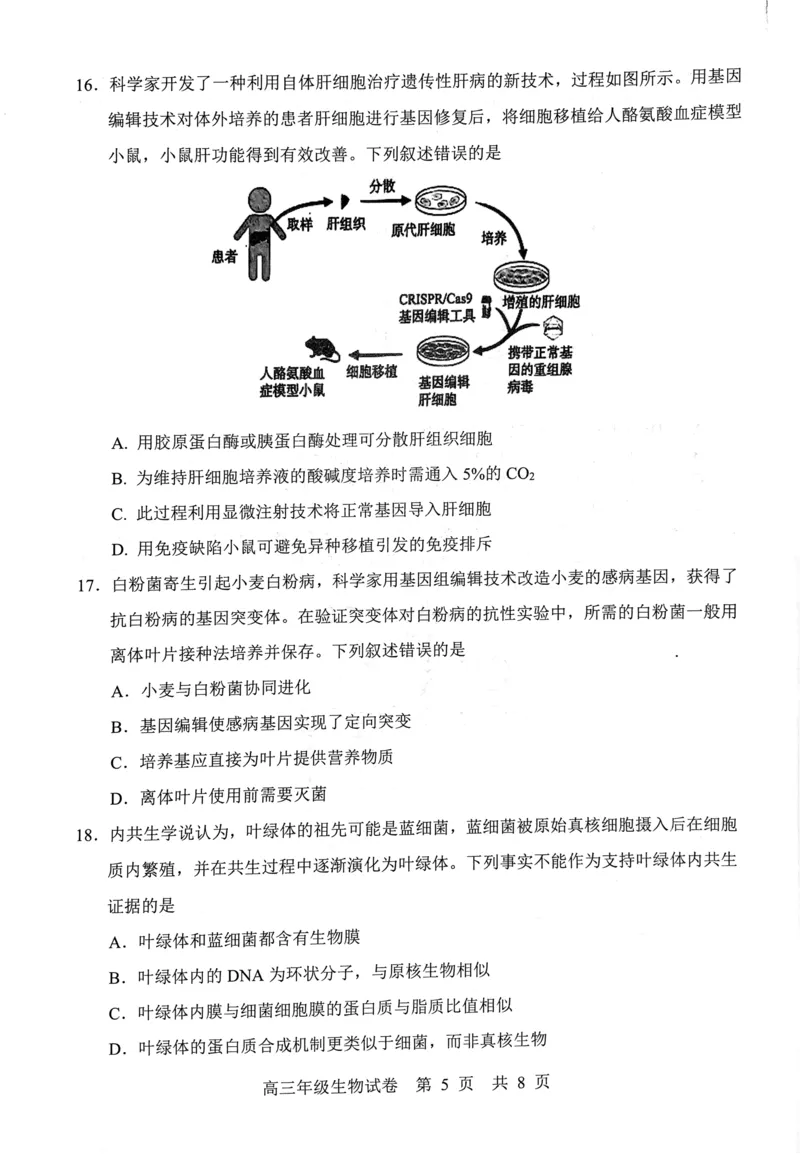 武昌区2025届高三年级上学期期末质量检测生物_2025年1月_250118湖北省武汉市武昌区2025届高三年级上学期期末质量检测（全科）_武昌区2025届高三年级上学期期末质量检测生物