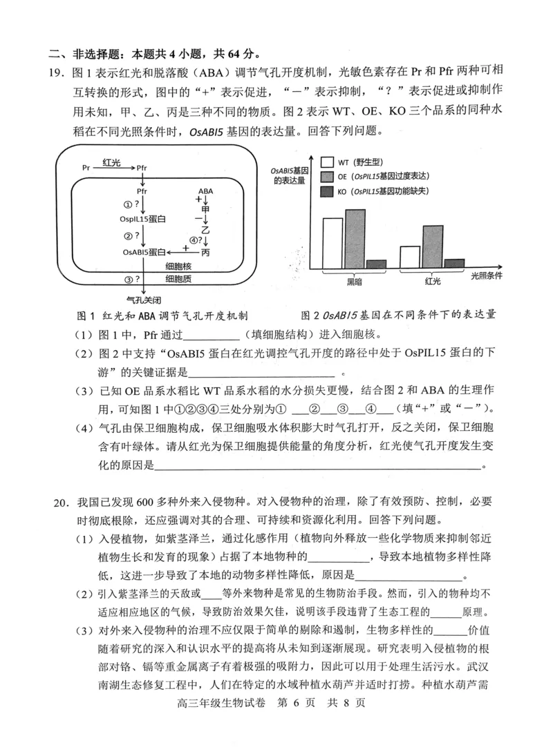 武昌区2025届高三年级上学期期末质量检测生物_2025年1月_250118湖北省武汉市武昌区2025届高三年级上学期期末质量检测（全科）_武昌区2025届高三年级上学期期末质量检测生物