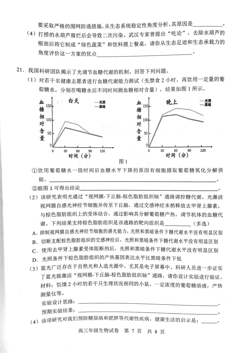 武昌区2025届高三年级上学期期末质量检测生物_2025年1月_250118湖北省武汉市武昌区2025届高三年级上学期期末质量检测（全科）_武昌区2025届高三年级上学期期末质量检测生物