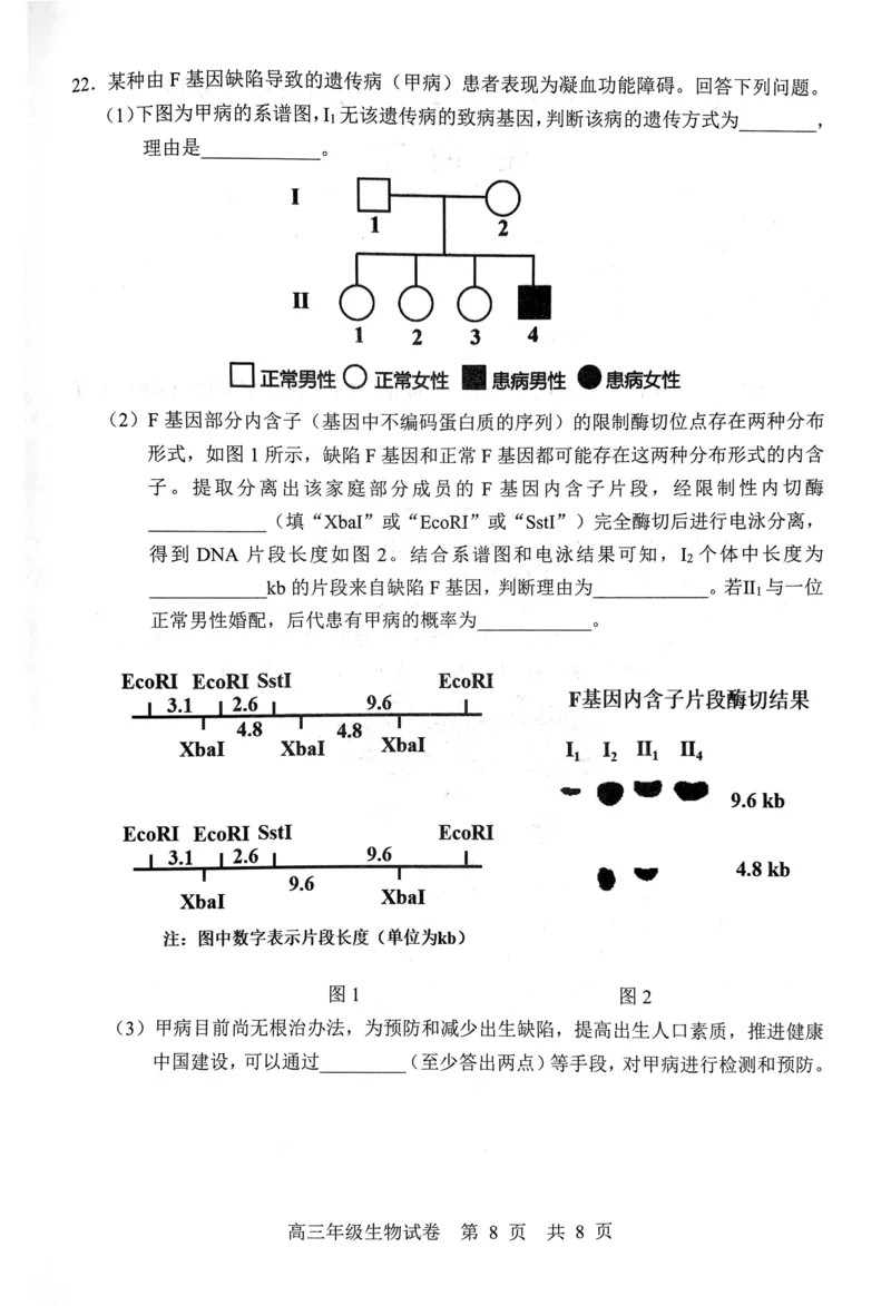 武昌区2025届高三年级上学期期末质量检测生物_2025年1月_250118湖北省武汉市武昌区2025届高三年级上学期期末质量检测（全科）_武昌区2025届高三年级上学期期末质量检测生物