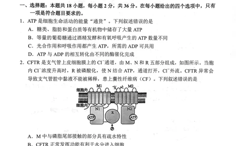 武昌区2025届高三年级上学期期末质量检测生物_2025年1月_250118湖北省武汉市武昌区2025届高三年级上学期期末质量检测（全科）_武昌区2025届高三年级上学期期末质量检测生物