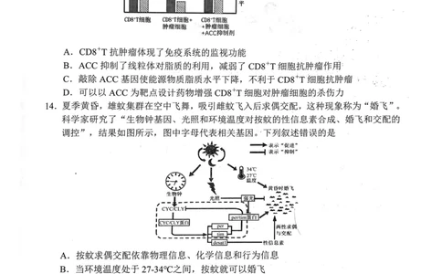 武昌区2025届高三年级上学期期末质量检测生物_2025年1月_250118湖北省武汉市武昌区2025届高三年级上学期期末质量检测（全科）_武昌区2025届高三年级上学期期末质量检测生物