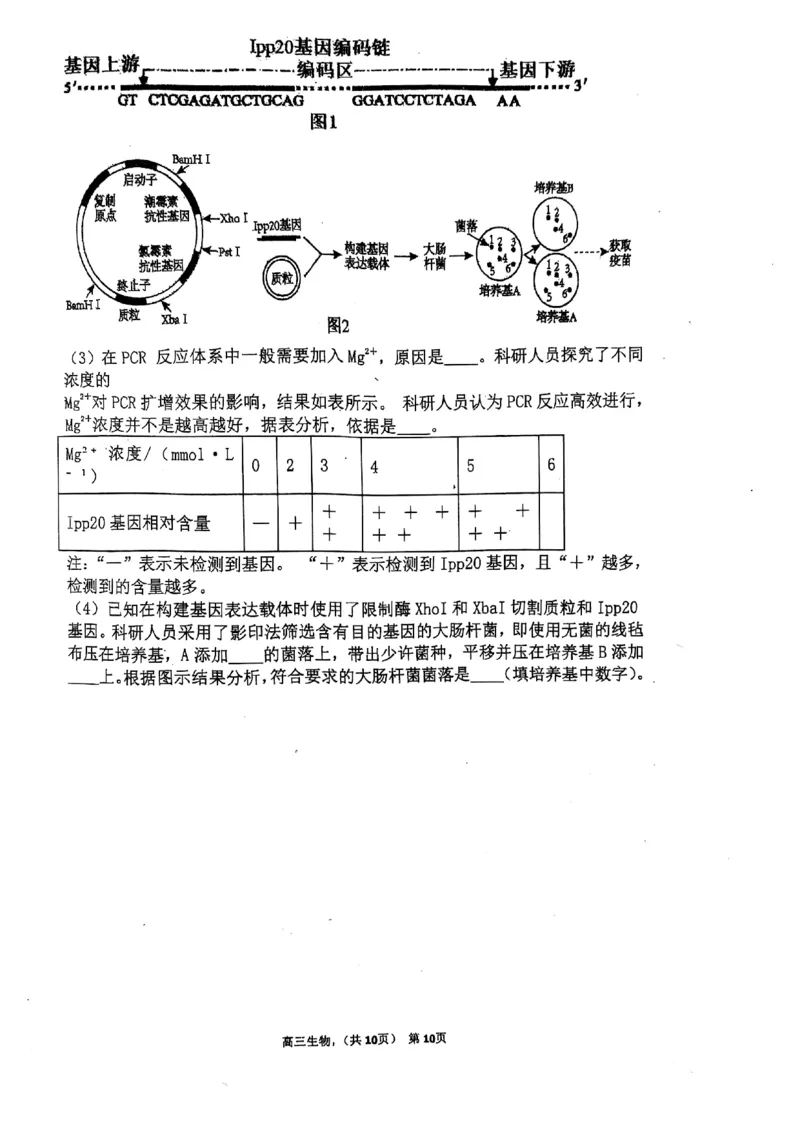 辽宁省七校协作体2024-2025学年度（下）3月高三联考生物_2025年3月_250309辽宁省七校协作体2024-2025学年度（下）3月高三联考（全科）