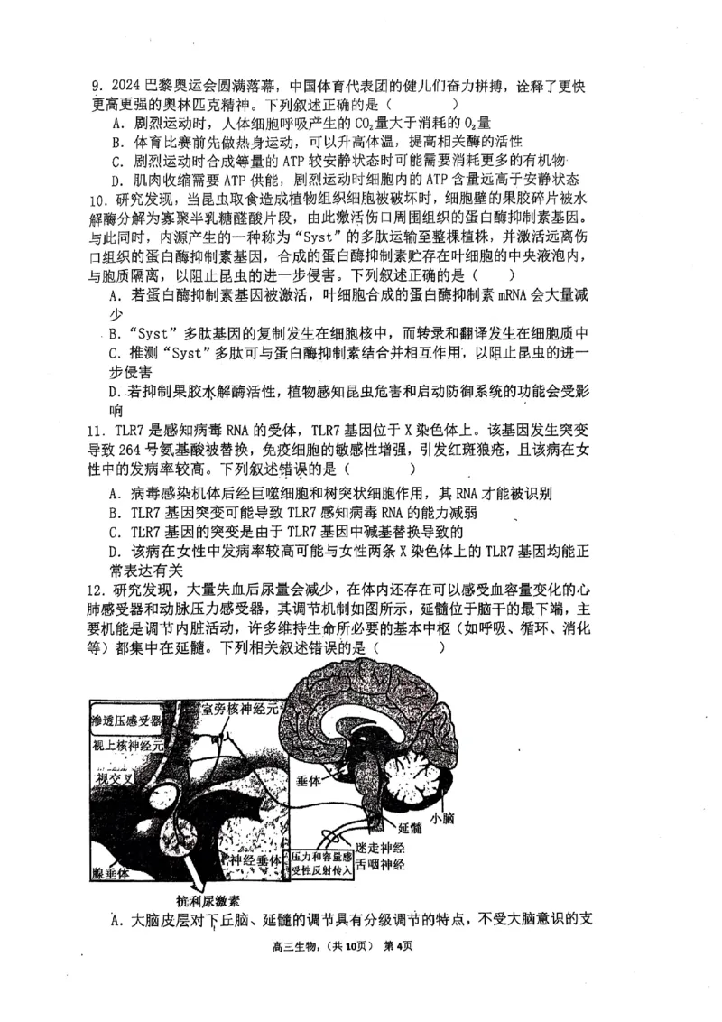 辽宁省七校协作体2024-2025学年度（下）3月高三联考生物_2025年3月_250309辽宁省七校协作体2024-2025学年度（下）3月高三联考（全科）