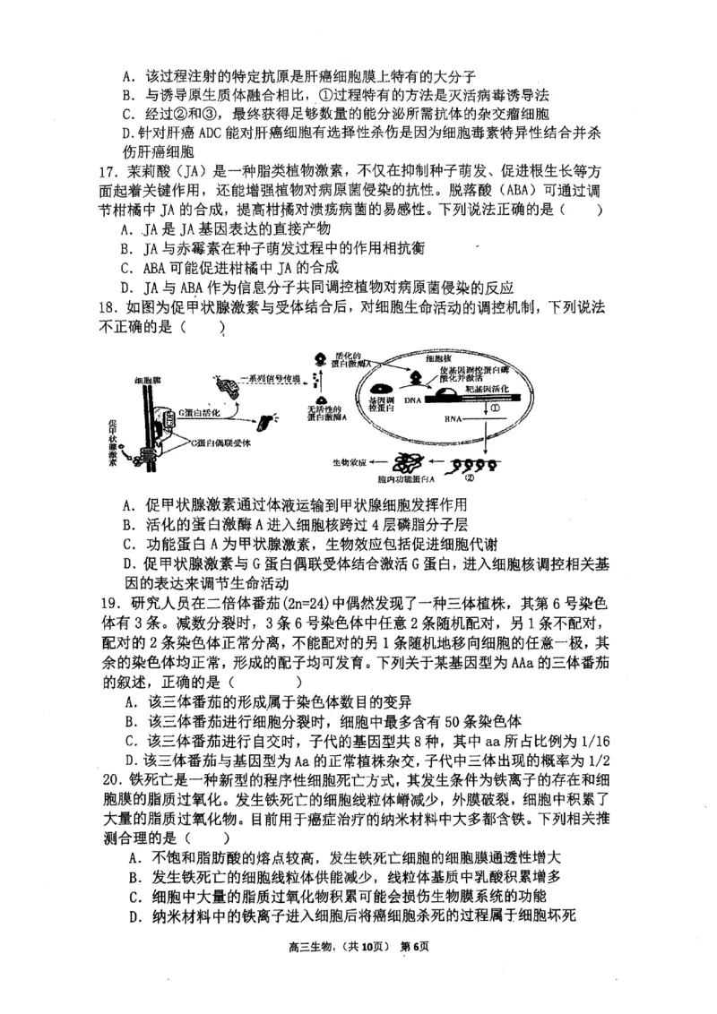辽宁省七校协作体2024-2025学年度（下）3月高三联考生物_2025年3月_250309辽宁省七校协作体2024-2025学年度（下）3月高三联考（全科）
