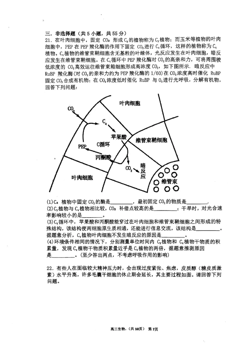 辽宁省七校协作体2024-2025学年度（下）3月高三联考生物_2025年3月_250309辽宁省七校协作体2024-2025学年度（下）3月高三联考（全科）