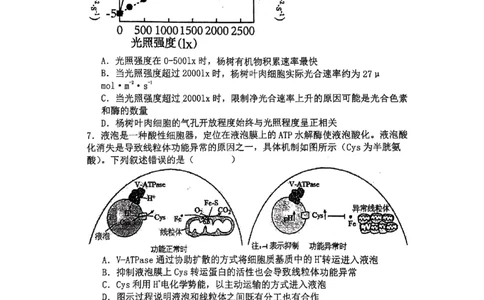 辽宁省七校协作体2024-2025学年度（下）3月高三联考生物_2025年3月_250309辽宁省七校协作体2024-2025学年度（下）3月高三联考（全科）
