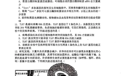 辽宁省七校协作体2024-2025学年度（下）3月高三联考生物_2025年3月_250309辽宁省七校协作体2024-2025学年度（下）3月高三联考（全科）