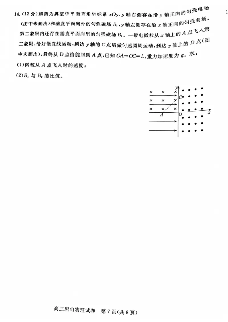 河北省唐山市2024-2025学年高三上学期1月期末考试物理PDF版含答案_2025年1月_250110河北省唐山市2024-2025学年高三上学期1月期末考试（全科）