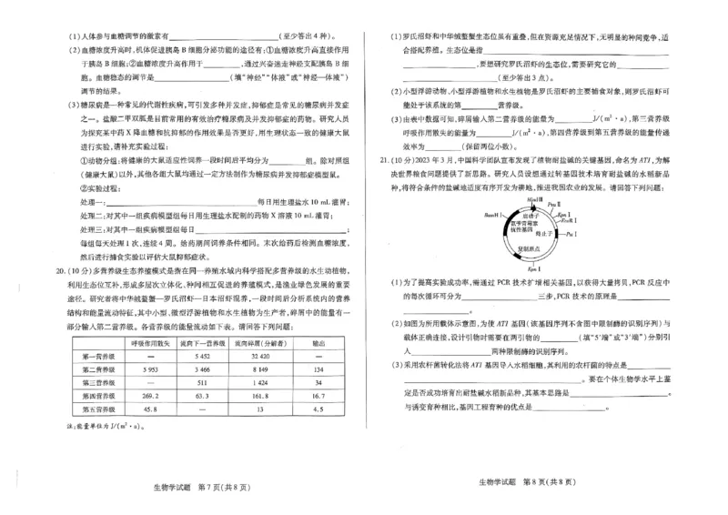 河南省天一大联考2024-2025学年高三上学期1月期末生物_2025年1月_250126河南省天一大联考2024-2025学年高三上学期1月期末试题（全科）