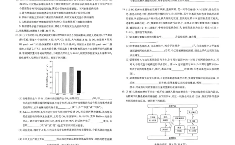 河南省天一大联考2024-2025学年高三上学期1月期末生物_2025年1月_250126河南省天一大联考2024-2025学年高三上学期1月期末试题（全科）