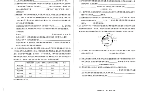 河南省天一大联考2024-2025学年高三上学期1月期末生物_2025年1月_250126河南省天一大联考2024-2025学年高三上学期1月期末试题（全科）
