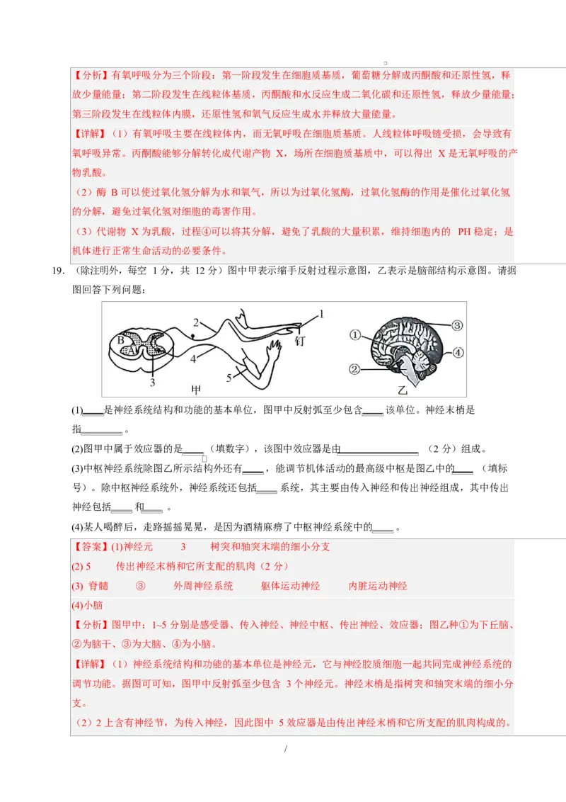 高二生物上学期第一次月考（广东专用）（全解全析）_1多考区联考试卷_2510142025-2026学年高二生物上学期第一次月考试题