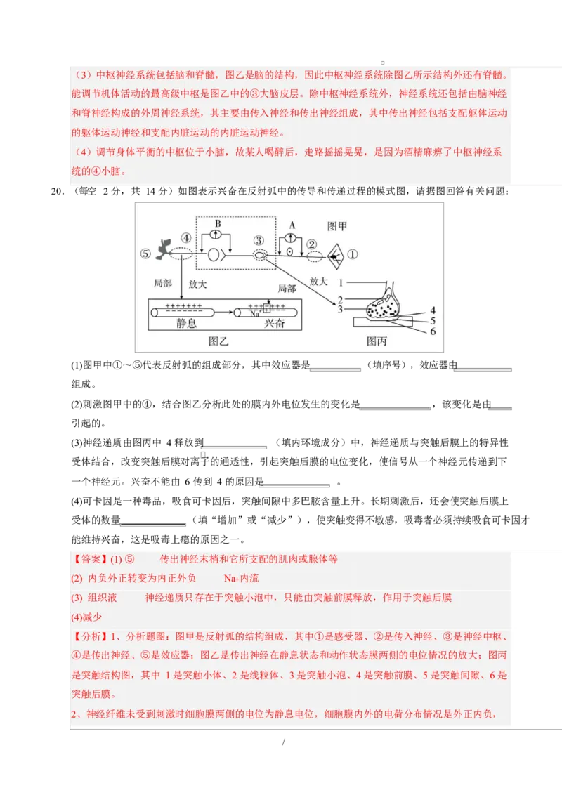高二生物上学期第一次月考（广东专用）（全解全析）_1多考区联考试卷_2510142025-2026学年高二生物上学期第一次月考试题