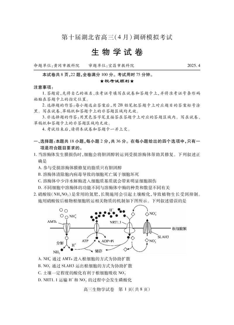 湖北省2025届高三（4月）调研模拟考试生物_2025年4月_250417第十届湖北省2025届高三（4月）调研模拟考试（全科）_湖北省2025届高三（4月）调研模拟考试生物