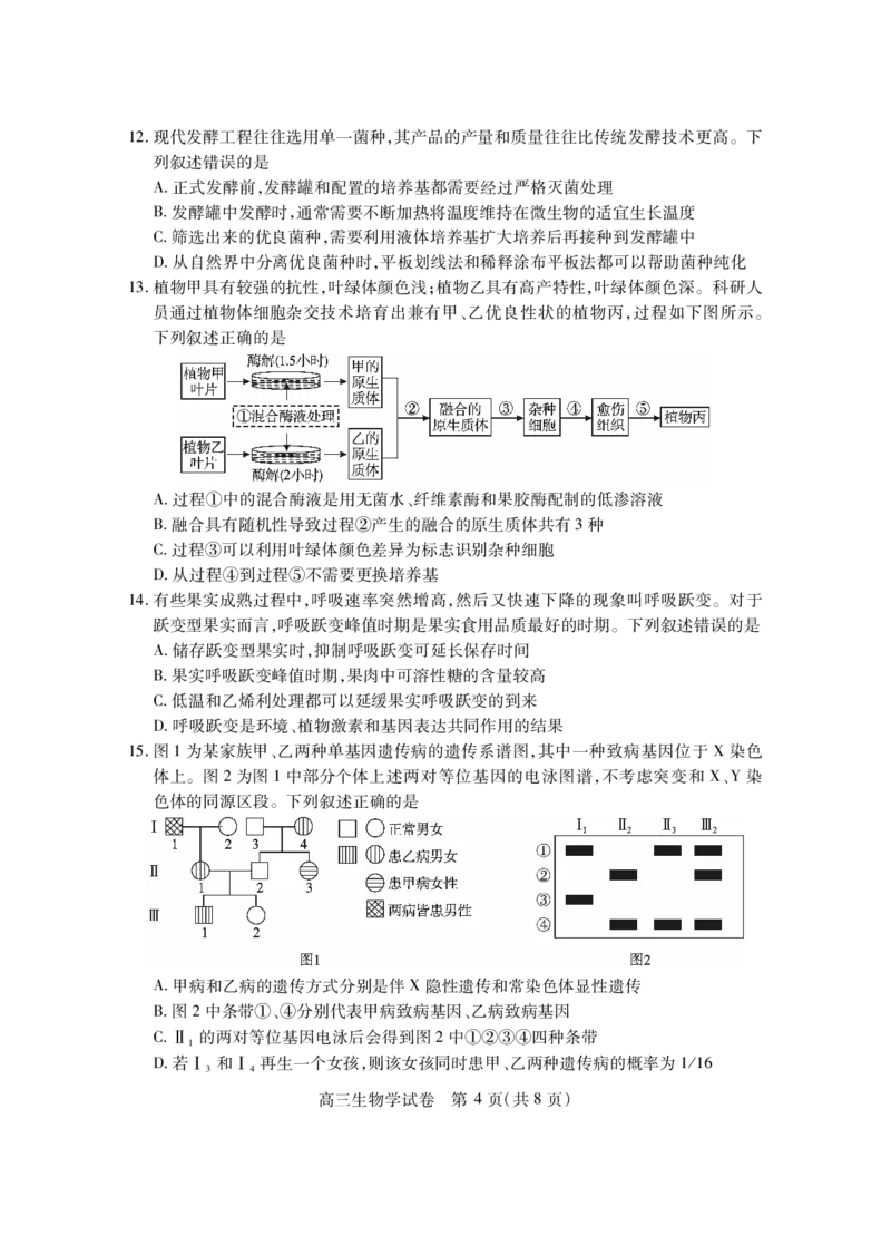 湖北省2025届高三（4月）调研模拟考试生物_2025年4月_250417第十届湖北省2025届高三（4月）调研模拟考试（全科）_湖北省2025届高三（4月）调研模拟考试生物
