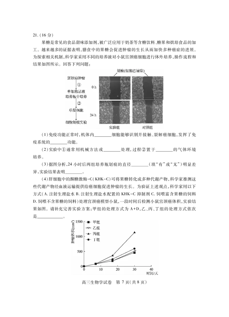 湖北省2025届高三（4月）调研模拟考试生物_2025年4月_250417第十届湖北省2025届高三（4月）调研模拟考试（全科）_湖北省2025届高三（4月）调研模拟考试生物