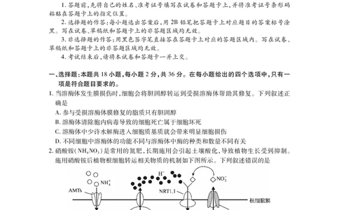 湖北省2025届高三（4月）调研模拟考试生物_2025年4月_250417第十届湖北省2025届高三（4月）调研模拟考试（全科）_湖北省2025届高三（4月）调研模拟考试生物