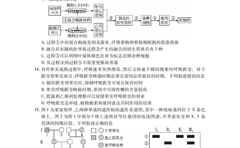 湖北省2025届高三（4月）调研模拟考试生物_2025年4月_250417第十届湖北省2025届高三（4月）调研模拟考试（全科）_湖北省2025届高三（4月）调研模拟考试生物