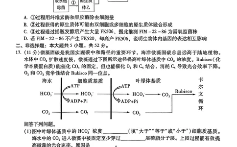 生物+2025云南新高考自主命题冲刺金卷及答案_2025年5月_2505202025年云南省新高考自主命题冲刺金卷（全科）