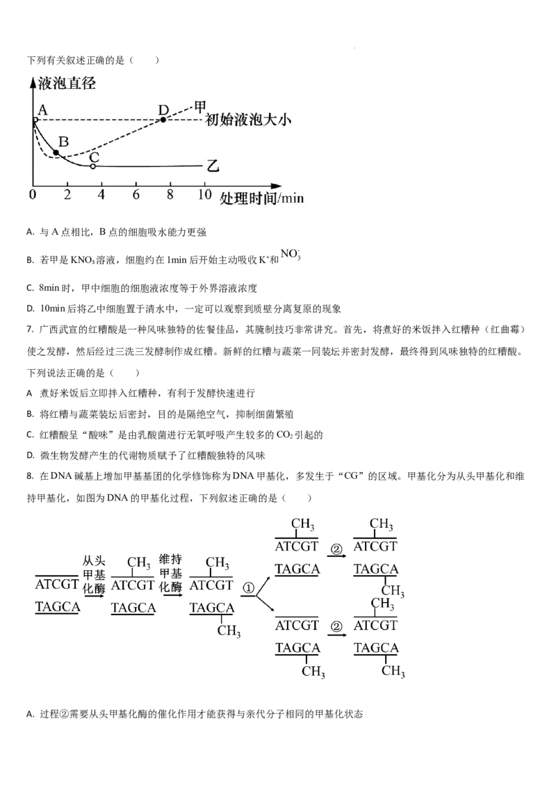 吉林省通化市梅河口市第五中学2024-2025学年高三上学期1月期末生物试题_2025年1月_250110吉林省通化市梅河口市第五中学2024-2025学年高三上学期1月期末考试试题