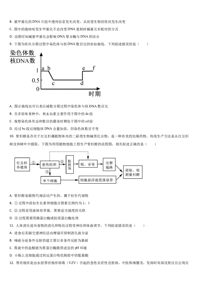 吉林省通化市梅河口市第五中学2024-2025学年高三上学期1月期末生物试题_2025年1月_250110吉林省通化市梅河口市第五中学2024-2025学年高三上学期1月期末考试试题