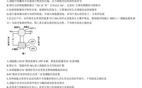 吉林省通化市梅河口市第五中学2024-2025学年高三上学期1月期末生物试题_2025年1月_250110吉林省通化市梅河口市第五中学2024-2025学年高三上学期1月期末考试试题